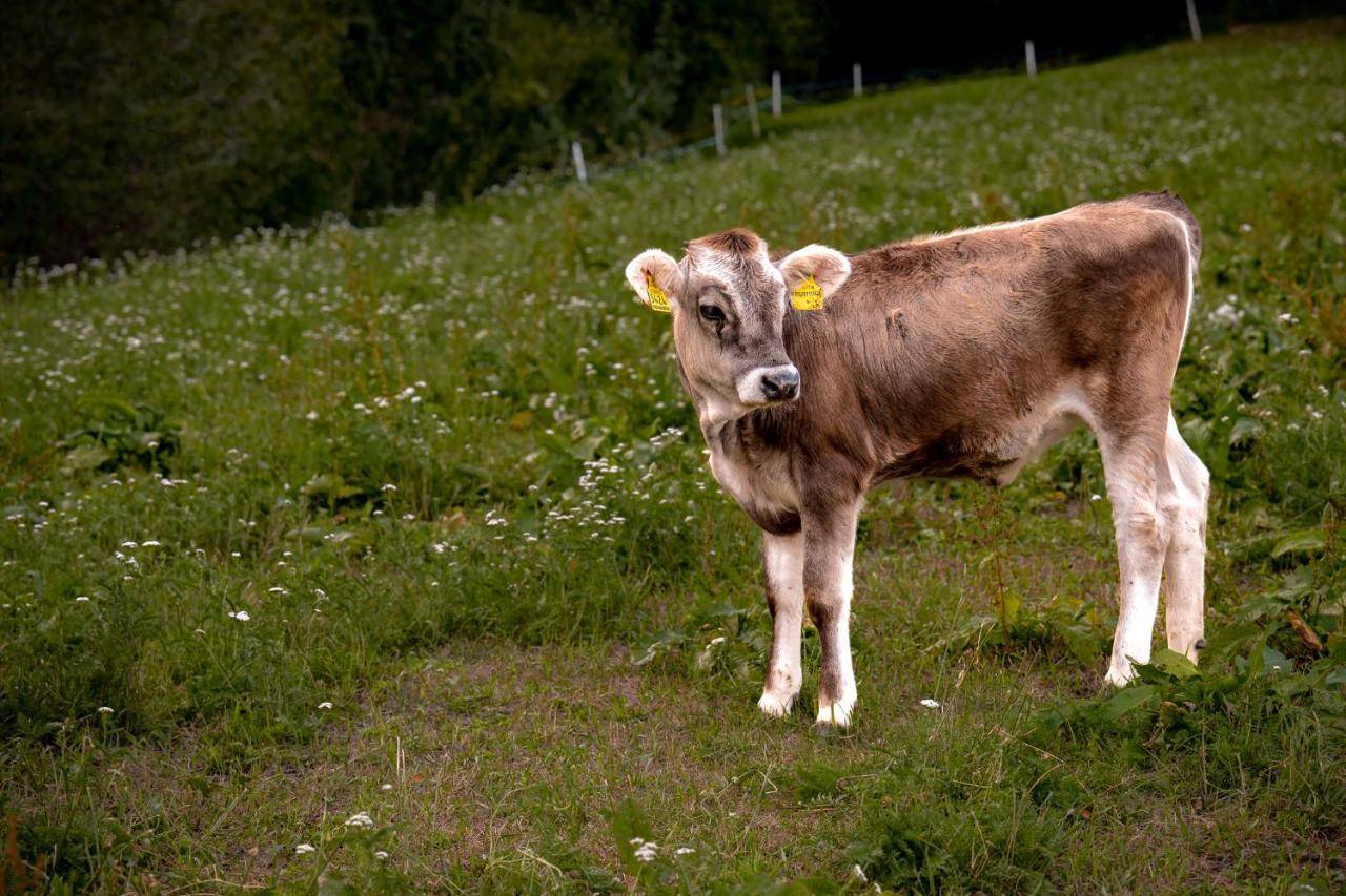 Stillehof - Auf Dem Bauernhof- Suedtirol *